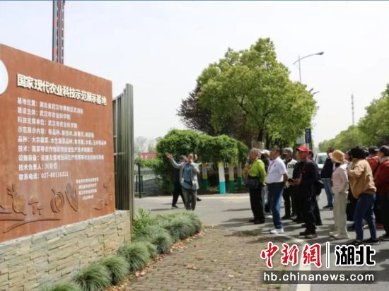 武汉市农科院北部园区技术人员现场讲解。