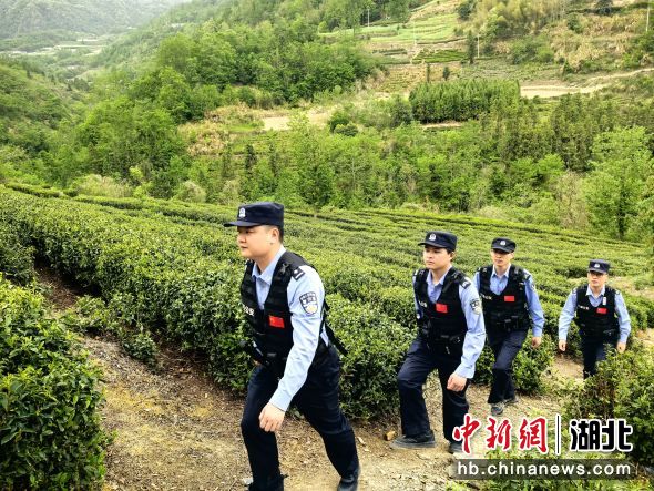 竹溪县公安局汇湾派出所民警在茶山巡逻。