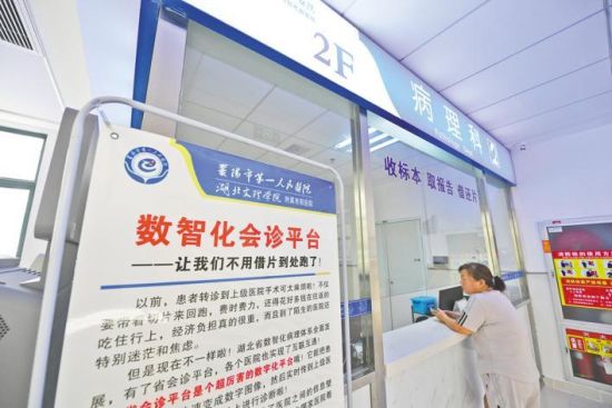 9月4日，枣阳市第一人民医院病理科，患者在病理诊断中心就诊。(湖北日报全媒记者 田悦 通讯员 郭振兴 张怡晨 摄)